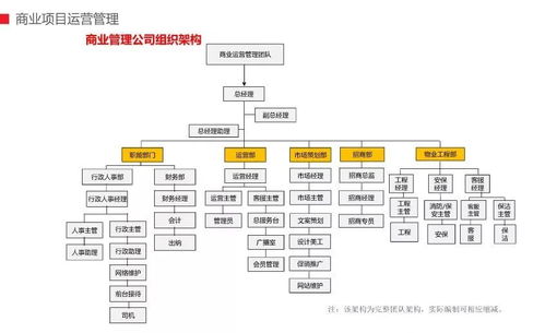 商管公司团队组织架构及商业运管模式